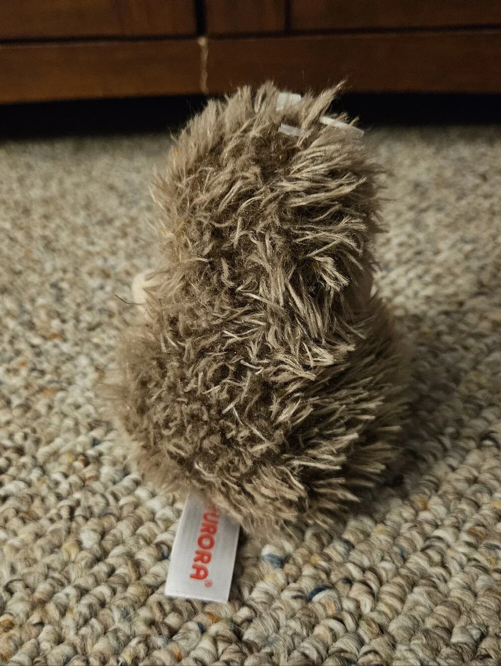 Aurora Palm Palms Hedgie Hedgehog